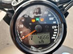 Angebot Indian Sport Scout