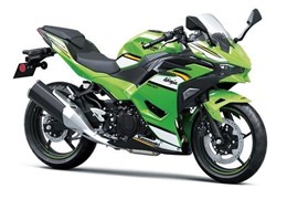 Neumotorrad Kawasaki Ninja 500 SE
