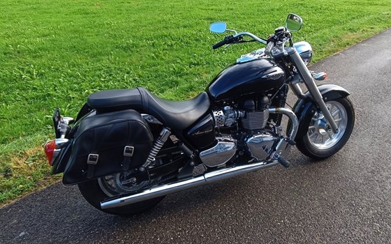 Gebrauchtmotorrad Triumph America - Bild 3 Gebrauchtmotorrad Triumph America - Bild 3