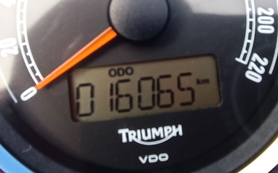 Gebrauchtmotorrad Triumph America - Bild 5 Gebrauchtmotorrad Triumph America - Bild 5