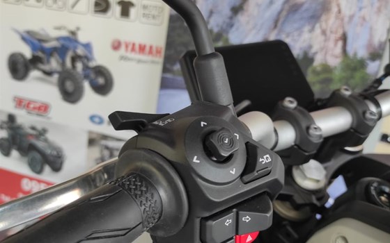 Neufahrzeug Yamaha Tenere 700 Rally - Bild 6