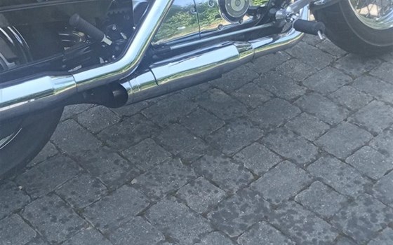 Gebrauchtmotorrad Harley-Davidson Sportster XL 1200 Custom Limited B - Bild 2 Gebrauchtmotorrad Harley-Davidson Sportster XL 1200 Custom Limited B - Bild 2