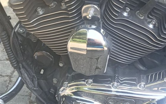 Gebrauchtmotorrad Harley-Davidson Sportster XL 1200 Custom Limited B - Bild 4 Gebrauchtmotorrad Harley-Davidson Sportster XL 1200 Custom Limited B - Bild 4
