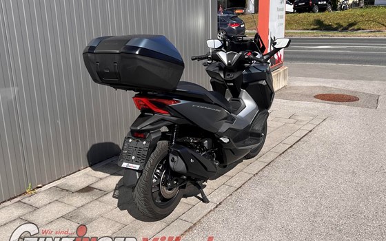 Gebrauchtmotorrad Honda Forza 350 - Bild 4 Gebrauchtmotorrad Honda Forza 350 - Bild 4
