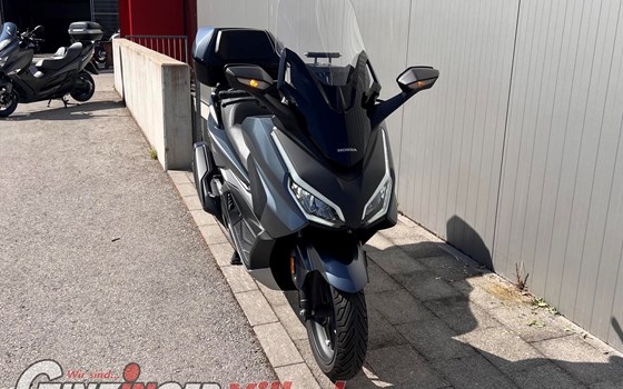 Gebrauchtmotorrad Honda Forza 350 - Bild 6 Gebrauchtmotorrad Honda Forza 350 - Bild 6