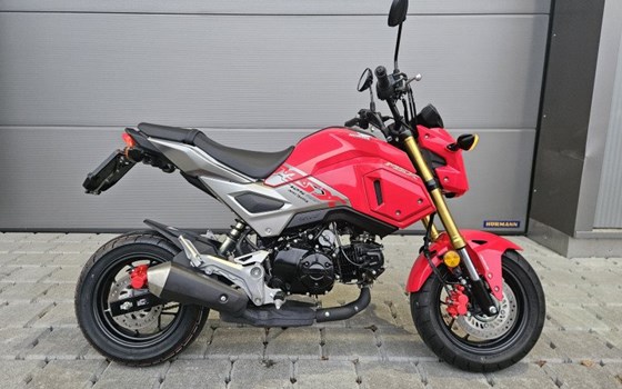 Motorrad Occasion Honda MSX 125 - Bild 1