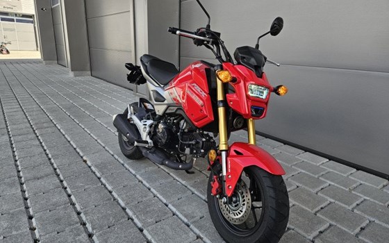 Motorrad Occasion Honda MSX 125 - Bild 2