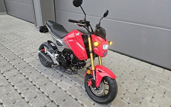 Motorrad Occasion Honda MSX 125 - Bild 2