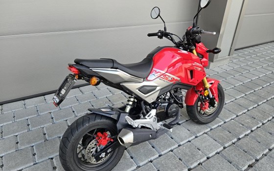 Motorrad Occasion Honda MSX 125 - Bild 3