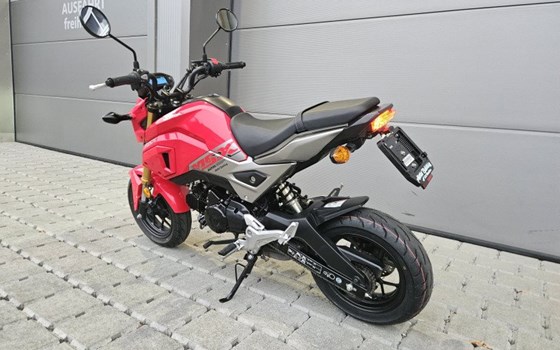 Motorrad Occasion Honda MSX 125 - Bild 3