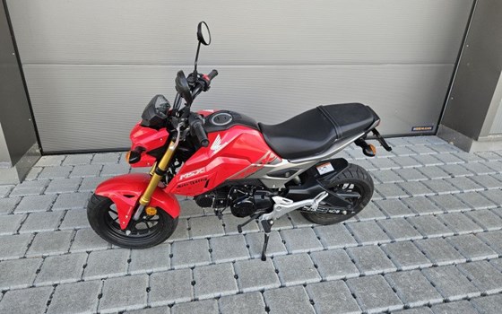 Offerta Honda MSX 125 - Immagine 4