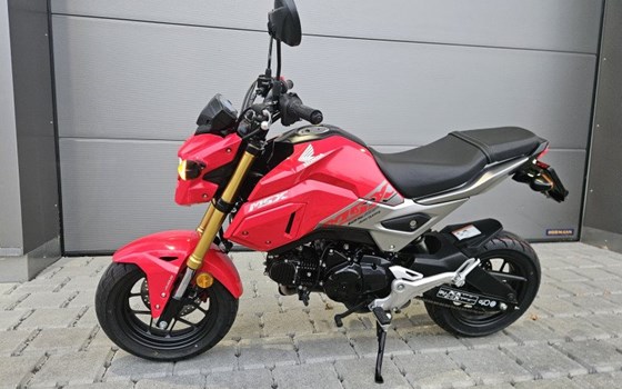 Motorrad Occasion Honda MSX 125 - Bild 4