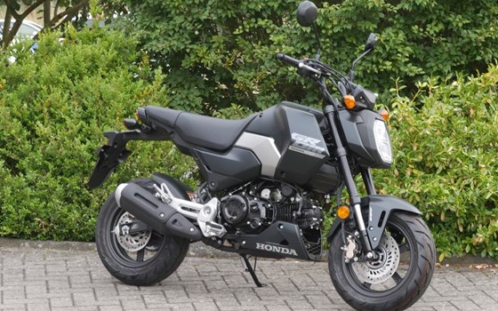 Neufahrzeug Honda MSX125 Grom - Bild 1