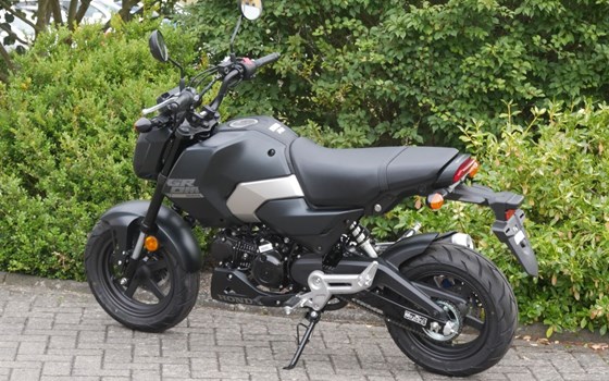 Neufahrzeug Honda MSX125 Grom - Bild 2