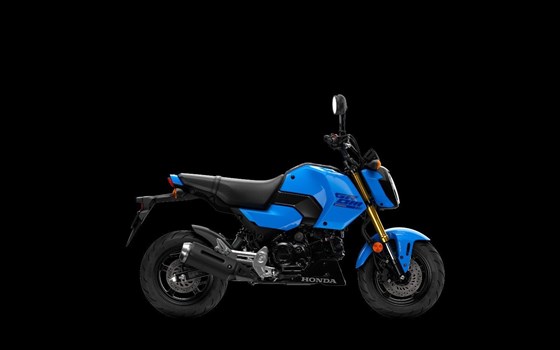 Neufahrzeug Honda MSX125 Grom - Bild 4