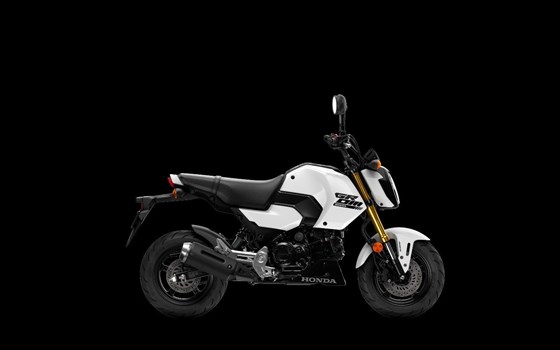 Neufahrzeug Honda MSX125 Grom - Bild 6