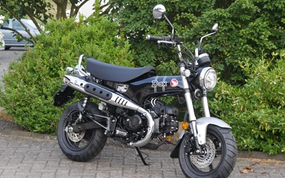 Neufahrzeug Honda Dax - Bild 1