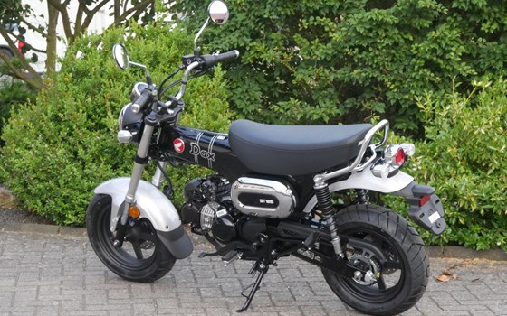 Neufahrzeug Honda Dax - Bild 2