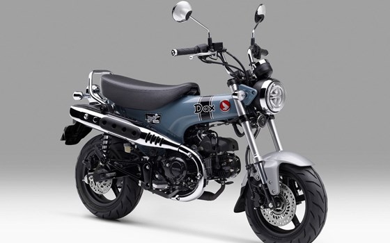 Neufahrzeug Honda Dax - Bild 5