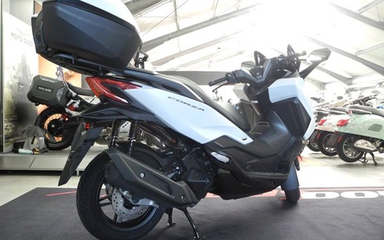 Neufahrzeug Honda Forza 350 - Bild 7