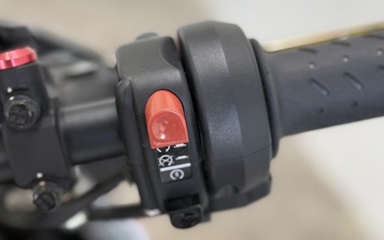 Gebrauchtmotorrad Aprilia Tuono V4 1100 Factory - Bild 8