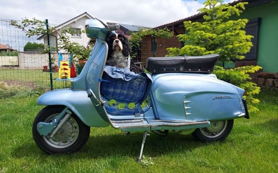 Gebrauchtmotorrad Lambretta Innocenti 125 F - Bild 4