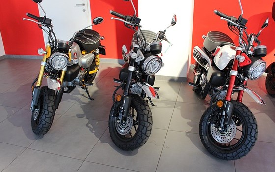 Gebrauchtmotorrad Honda Monkey - Bild 5 Gebrauchtmotorrad Honda Monkey - Bild 5