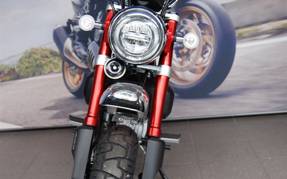 Neufahrzeug Honda Monkey 125 - Bild 20