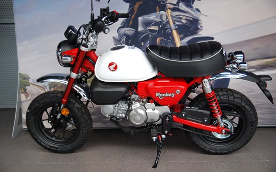 Neufahrzeug Honda Monkey 125 - Bild 6