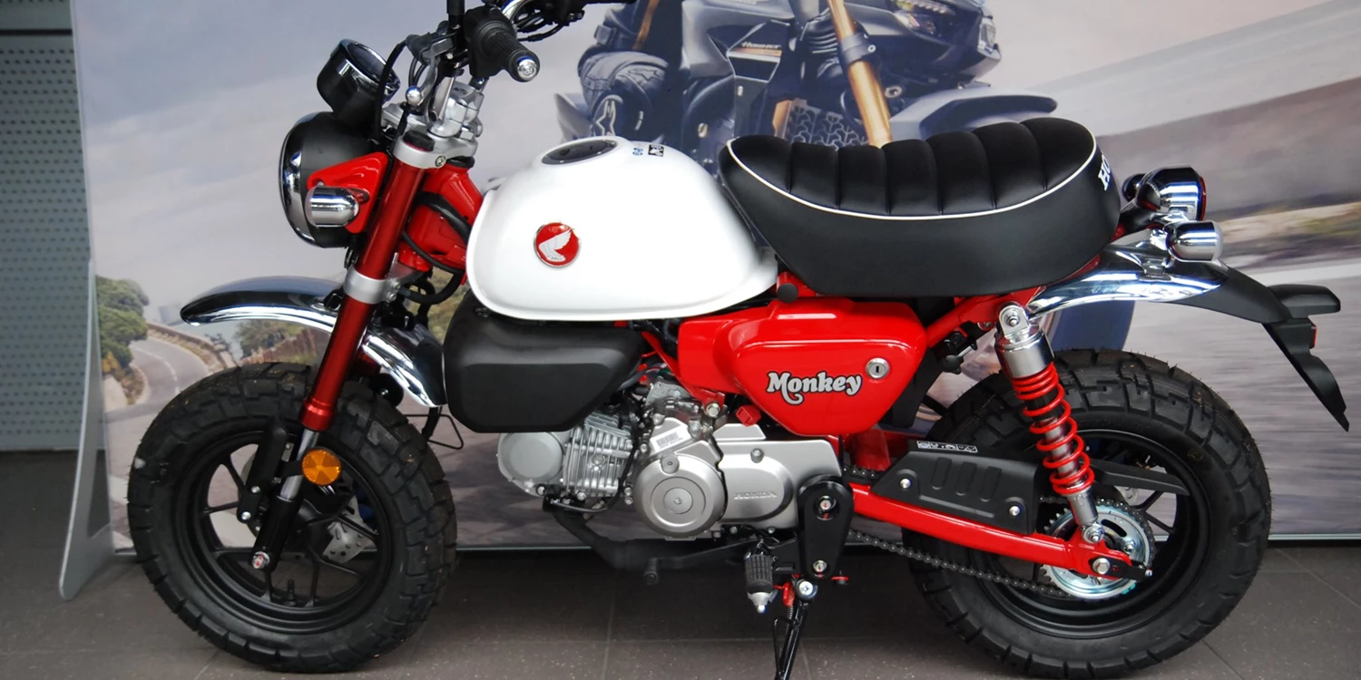 Zum Vergrößern bitte anklicken!