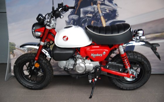 Neufahrzeug Honda Monkey 125 - Bild 16