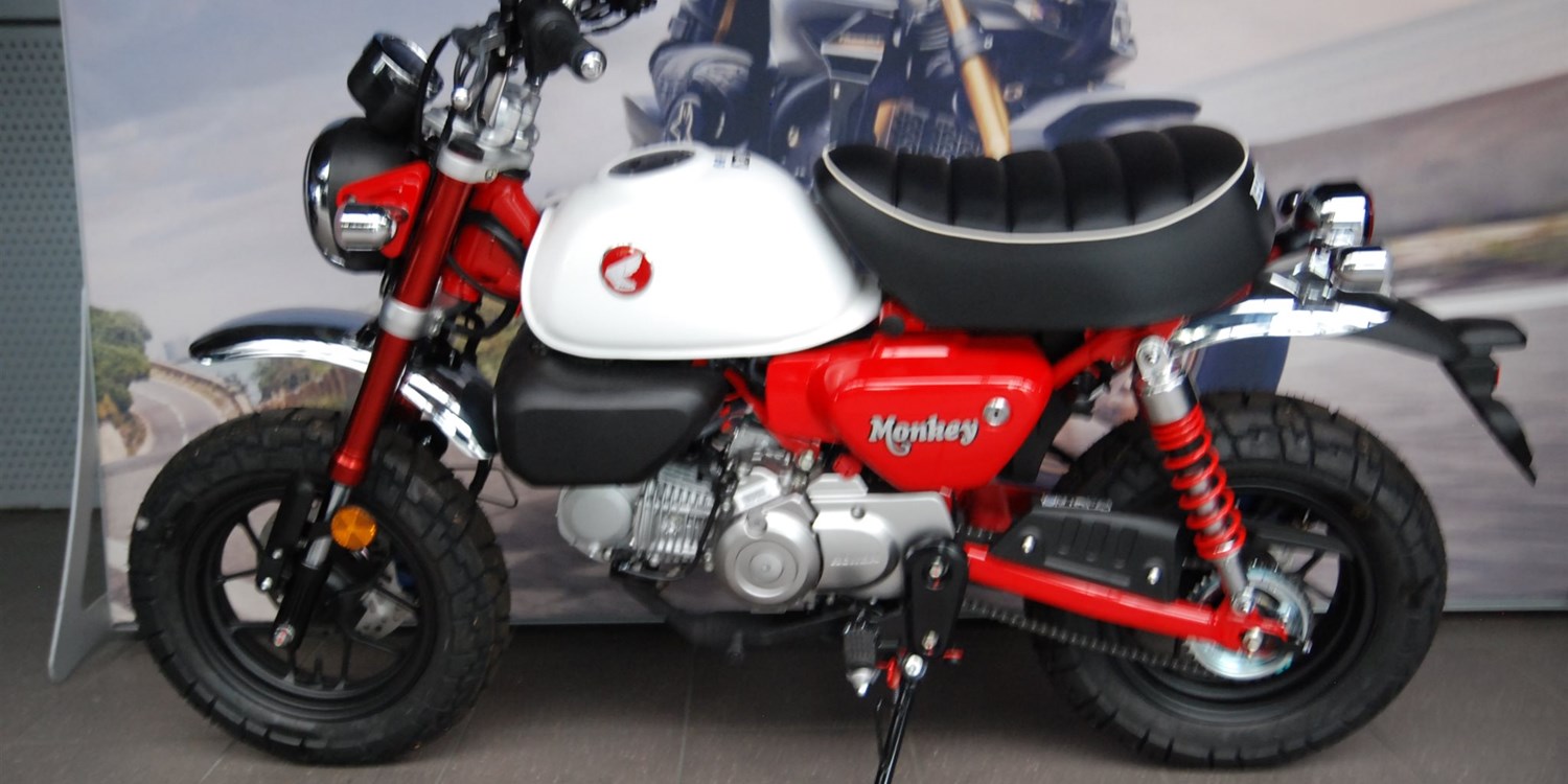 Zum Vergrößern bitte anklicken!