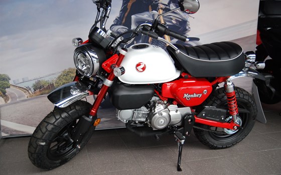 Neufahrzeug Honda Monkey 125 - Bild 7
