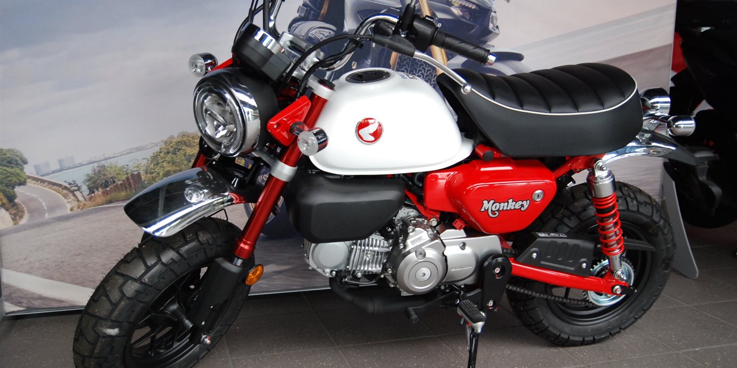 Zum Vergrößern bitte anklicken!