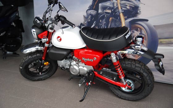 Neufahrzeug Honda Monkey 125 - Bild 5