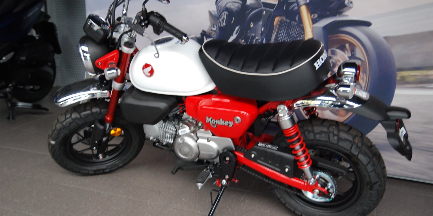 Zum Vergrößern bitte anklicken!