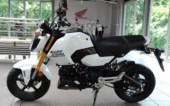 Neufahrzeug Honda MSX125 Grom - Bild 11