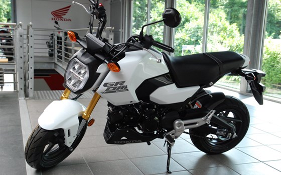 Neufahrzeug Honda MSX125 Grom - Bild 13
