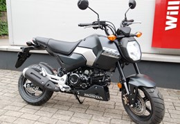 Neumotorrad Honda MSX125 Grom