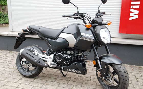 Neufahrzeug Honda MSX125 Grom - Bild 1