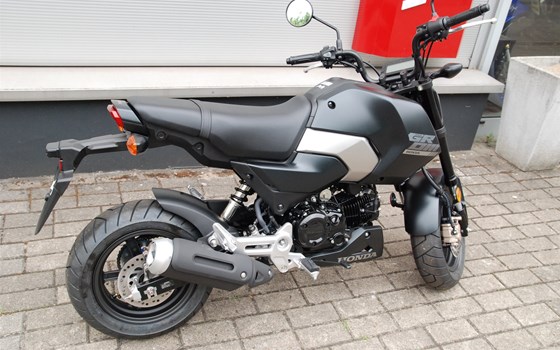 Neufahrzeug Honda MSX125 Grom - Bild 3