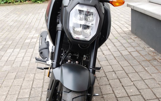 Neufahrzeug Honda MSX125 Grom - Bild 16