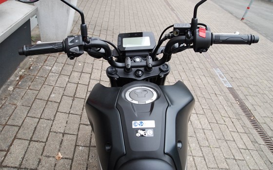 Neufahrzeug Honda MSX125 Grom - Bild 14