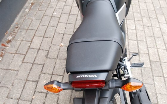 Neufahrzeug Honda MSX125 Grom - Bild 19
