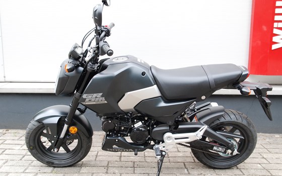 Neufahrzeug Honda MSX125 Grom - Bild 9