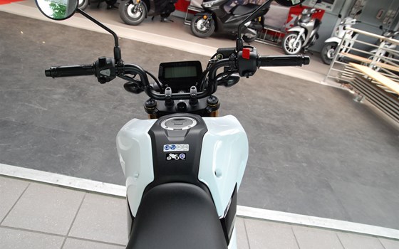 Neufahrzeug Honda MSX125 Grom - Bild 15