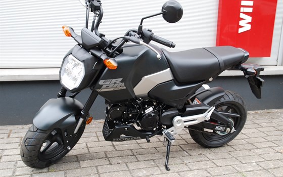 Neufahrzeug Honda MSX125 Grom - Bild 8