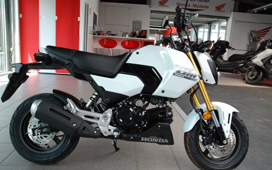 Neufahrzeug Honda MSX125 Grom - Bild 4