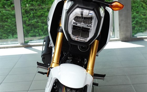 Neufahrzeug Honda MSX125 Grom - Bild 20