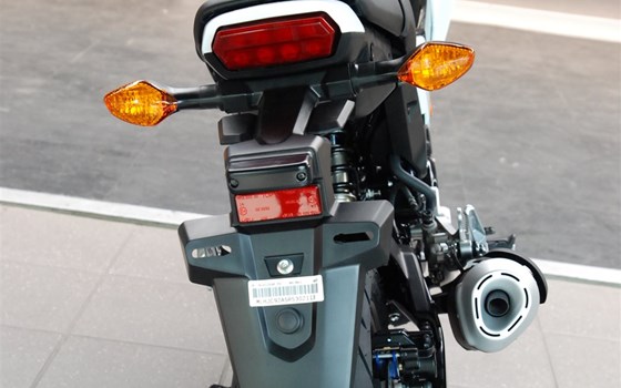 Neufahrzeug Honda MSX125 Grom - Bild 21